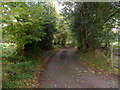 Lane to Penryheol near Pontypool