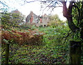 Roofless derelict farm building near Penyrheol