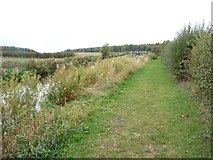 SK6783 : Chesterfield Canal towpath by Christine Johnstone