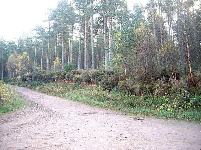 Builg Road from Bridge of Bogendreip