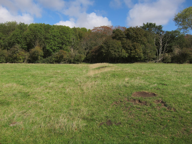 Earthworks by Toseland Wood