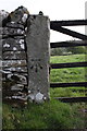 Benchmark on gatepost beside Grassgill Lane