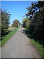 Lane from Roxhill Manor Farm to Ashbrook Farm