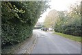 Greenway towards the Hall