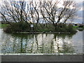 Newton Park Pond