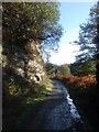 Old railway cutting below Darren Isaf