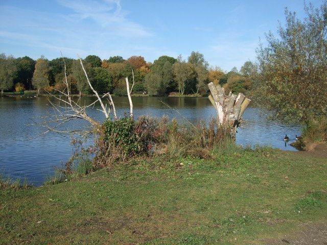 Dead trees beside lake Hainault Forest... © Richard Hoare cc-by-sa/2.0 ...