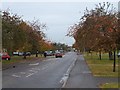 Autumn colour in Sandridge Road