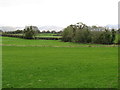 Pastureland east of the B7 (Drumlough Road)