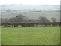 Farmland off Limekilnburn Road