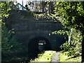 Peak Forest Canal, Entrance To Woodley Tunnel