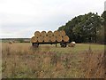 Circular straw bales on a trailer