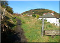 Track at the top end of Gilfach Road, Tonypandy