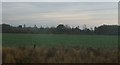 Farmland near Moorgate Plantation