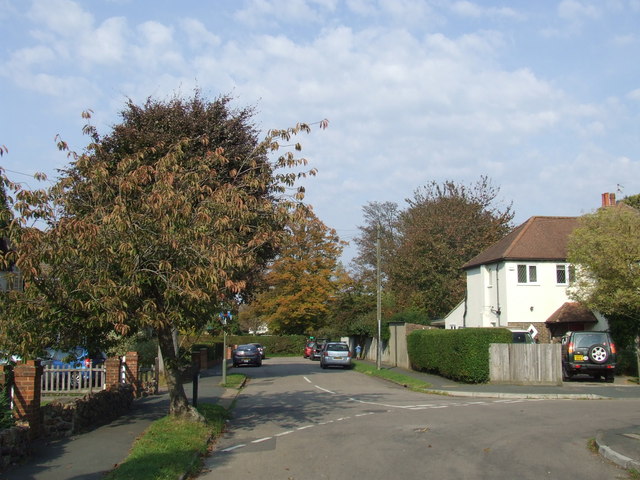 Park Avenue, Caterham-on-the-Hill