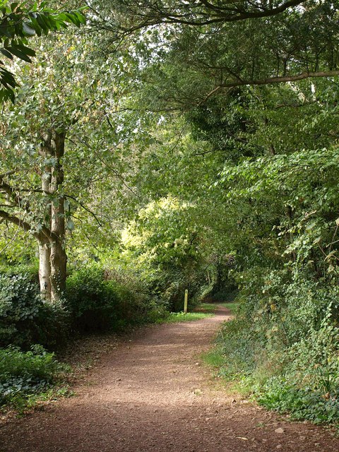 Path, Brunel Woods © Derek Harper :: Geograph Britain and Ireland