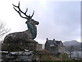 Duntrune Castle and stag