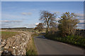 The road towards Helton