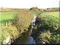 Flooded drainage ditch north of Redbridge Road