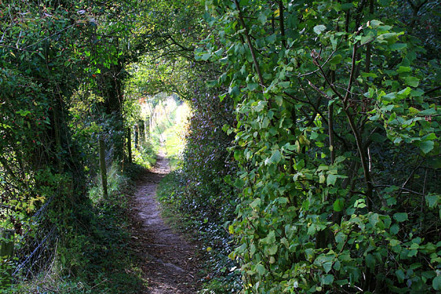 Path toward the River Itchen