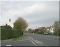 York Road - viewed from Holly Tree Lane