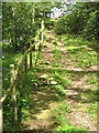 Stone trod, Buskey Beck