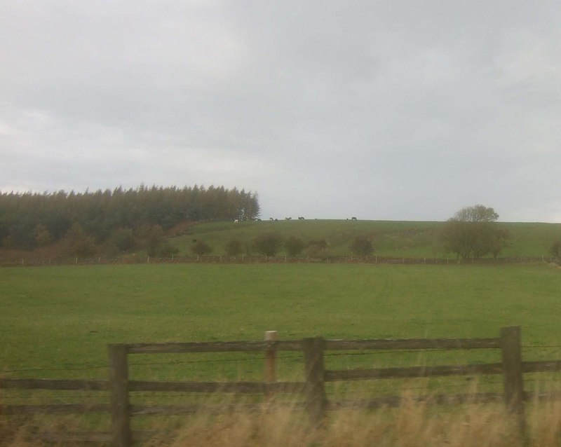 Farmland Near Kildale © Jthomas Geograph Britain And Ireland