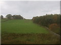 Grazing land, The Banks, near Wayworth Farm