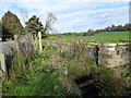 Disused lock Newry Canal, Scarva