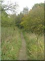 Footpath - Queenswood Drive