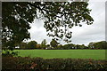 A View over the Hedgerow, Fradswell Lane