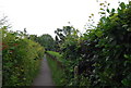 Footpath past Cranleigh Cemetery