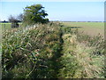 Footpath from St Mary