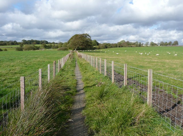 Footpath near Dumfries House