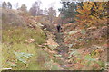 Footpath near Coplish Burn