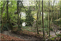 ST5475 : Abbots Leigh: by Miles Dock by Martin Bodman
