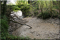 ST5475 : Abbots Leigh: Miles Dock, silted up by Martin Bodman