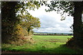 View through a gap in the Hedge