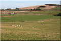 Looking Towards Blacklaw