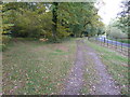 Footpath into Birchen Copse