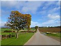 Farmland and farm road, Hartforth