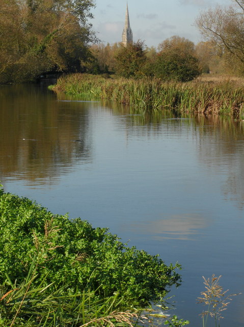 Water Meadows at Britford