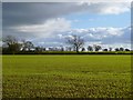 Farmland, Melsonby