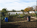 Allotment gardens