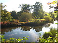 The western end of the Garden Lake at Stourhead