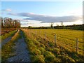 Track and farmland, Middleton Tyas