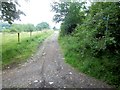 Bridleway leaves lane