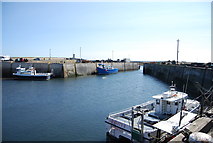 NU2232 : Inner harbour, Seahouses by N Chadwick