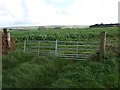 Crop field near Battisborough Cross