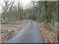 Lane heading to Cwmgwdi